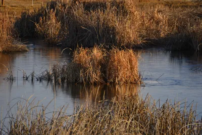 DSC_6015 (Large).JPG